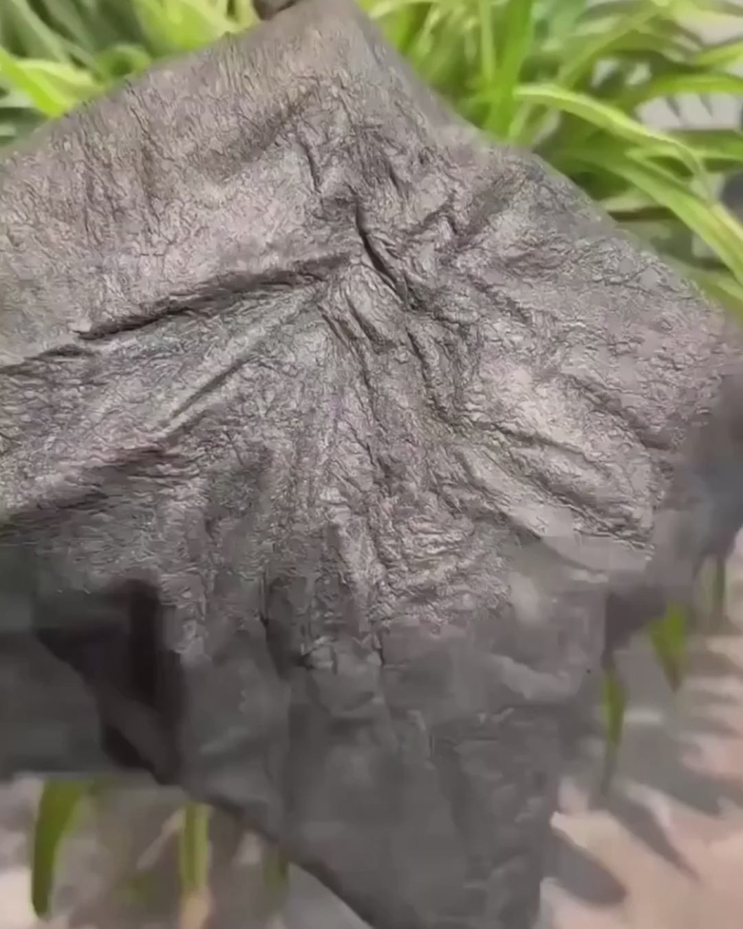EverClean™ Water-Only Cleaning Cloth